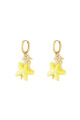 Jaune Image3