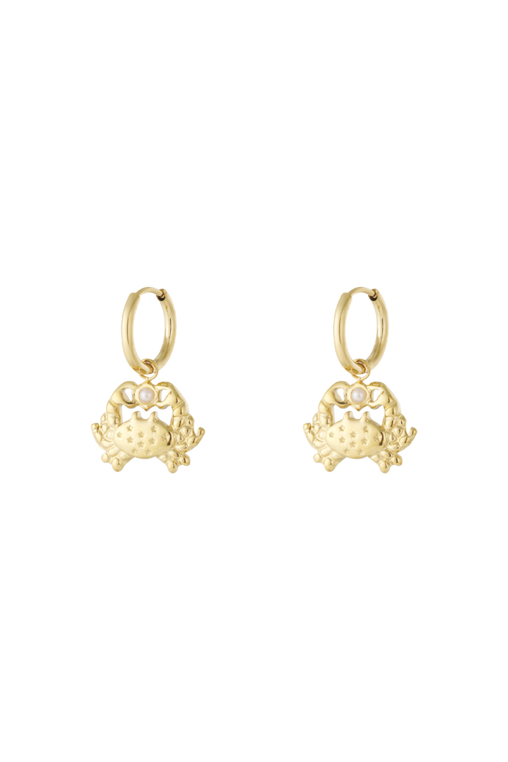   Boucles D'Oreilles Pendantes Animal Casual Daily Simple Series Bijoux Pour Femmes 