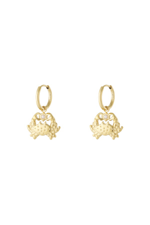   Boucles D'Oreilles Pendantes Animal Casual Daily Simple Series Bijoux Pour Femmes h5 