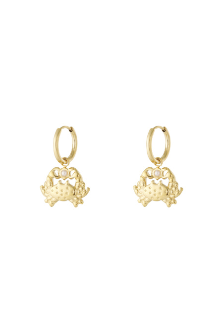  Boucles d'oreilles pendantes Animal Casual Daily Simple Series Bijoux pour femmes