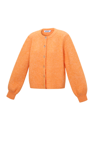 Gilet En Maille h5 Image2