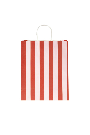 Sac Cadeau Rayé h5 Image4