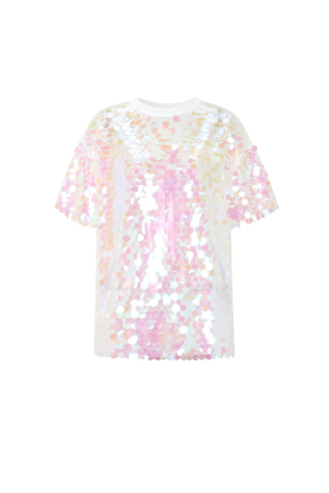 Paillettes Festives h5