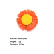Orange Image2