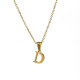 D Image4