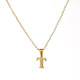 T Image19