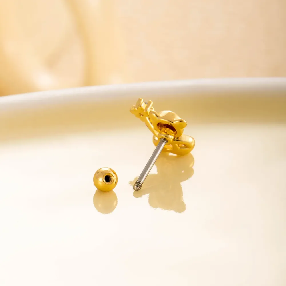 Boucles D'Oreilles Piercing Femme Simple Series Simple Animal En Acier Titane Sans Placage, Avec Zircon.