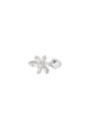 couleur argent Image2