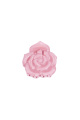 Rose Image2