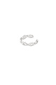 couleur argent Image2