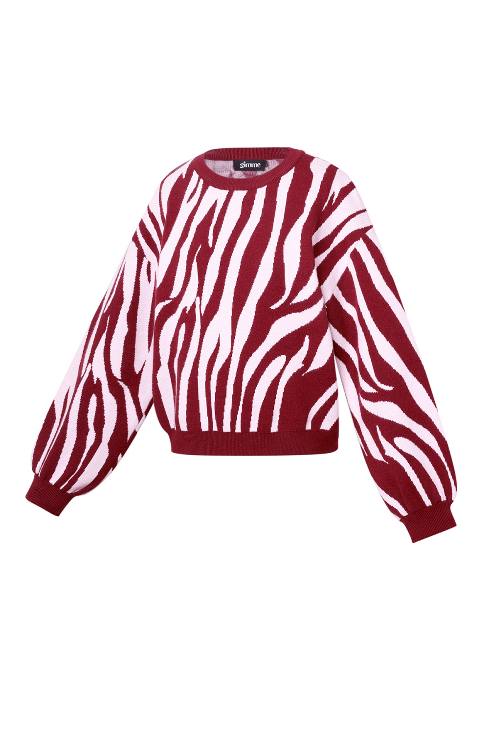 Pull Zèbre Image2