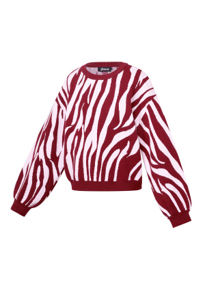 Pull Zèbre h5 Image2