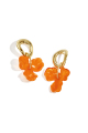 Orange Image5