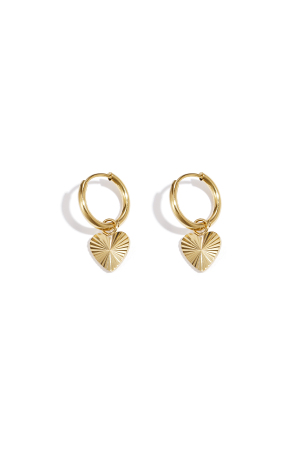 Boucles D'Oreilles En Forme De Cœur En Acier Inoxydable h5 