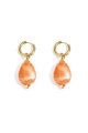 Orange Image5