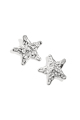 couleur argent Image2