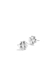 couleur argent Image2