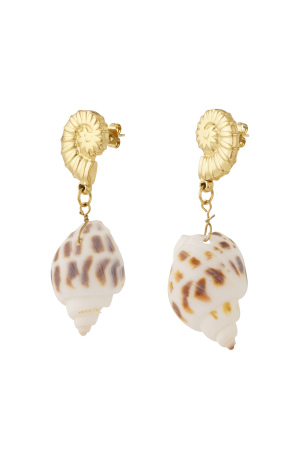 Boucles D'Oreilles Coquillage Élégance h5 