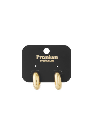 Boucles D'Oreilles Créoles De Forme Irrégulière Rectangulaires, Décontractées, Simples, Pour Femmes h5 Image4
