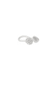 couleur argent Image2