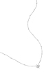 couleur argent Image2