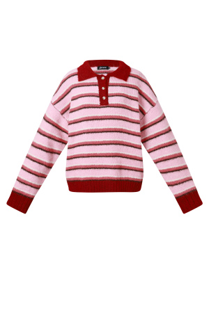 Pull Polo En Maille À Rayures h5 Image11