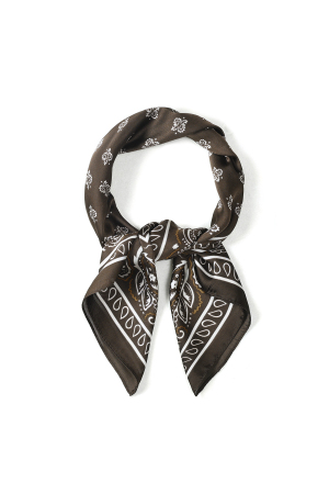 Écharpes D'Été À Motif Cachemire, En Polyester Décontracté, Accessoires Du Quotidien h5 Image2