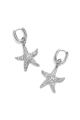 couleur argent Image2