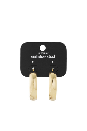 Boucles D'oreilles En Acier Inoxydable Chic h5 Image3