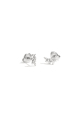 couleur argent Image2