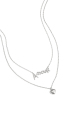 couleur argent Image2
