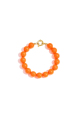 Orange vif Image23