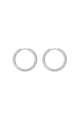 couleur argent Image2
