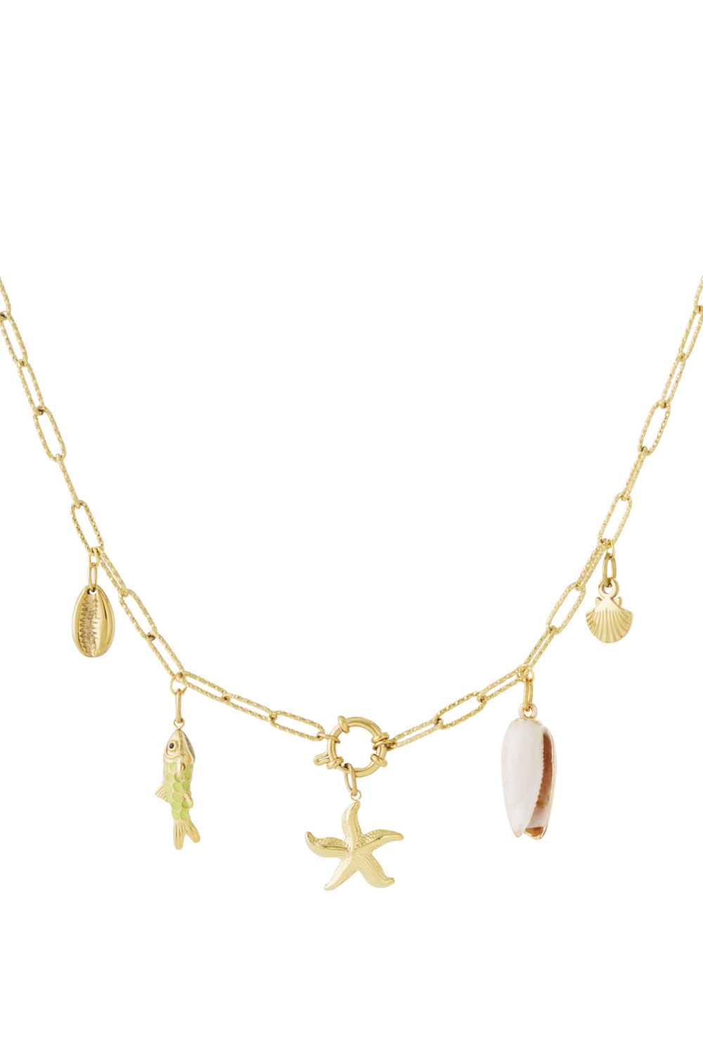 Collier Diy Étoile De Mer h5Image5