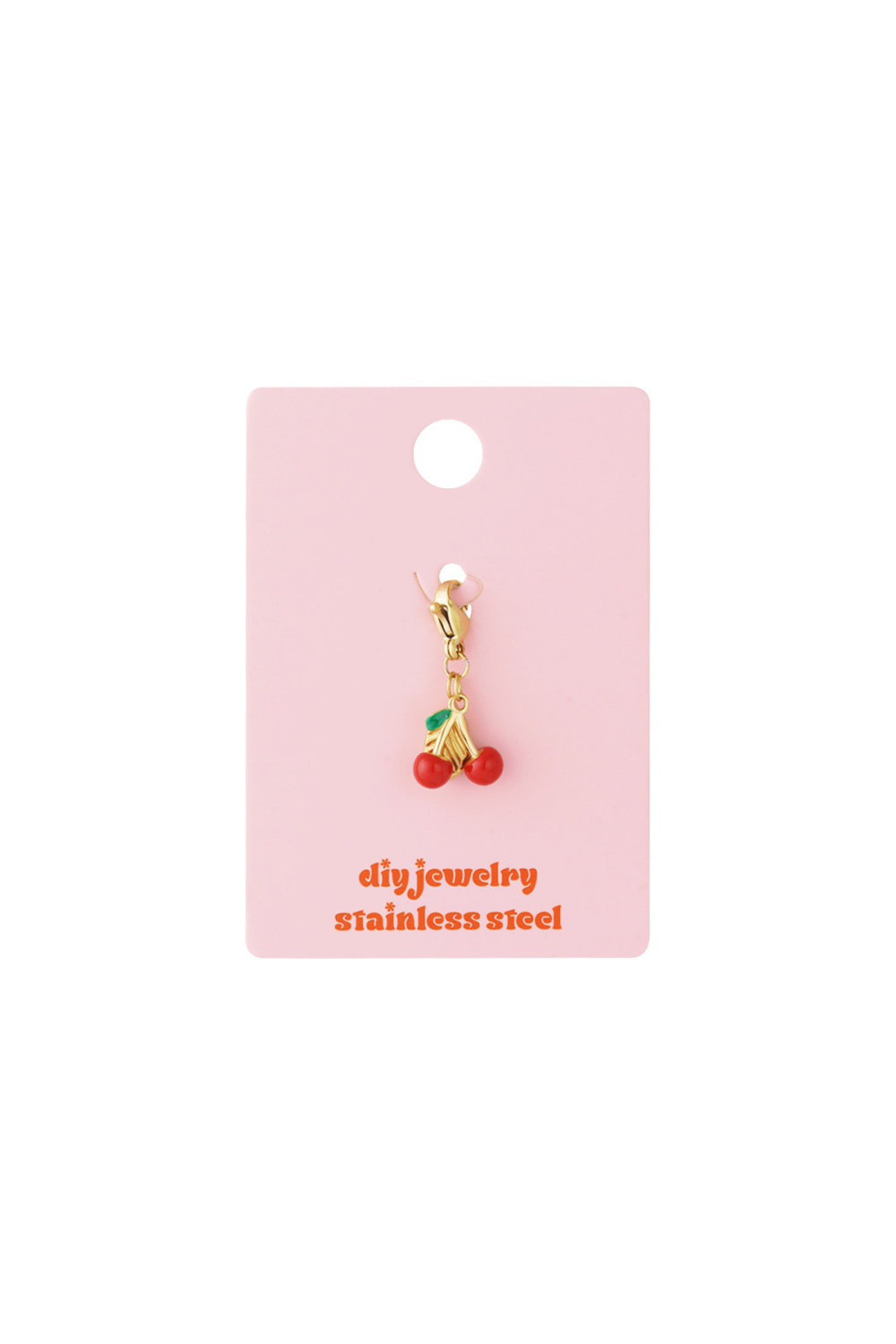 Bijoux En Acier Inoxydable, Breloques, Plantes, Diy, Série Simple Et Quotidienne, Bijoux Pour Femmes Image5
