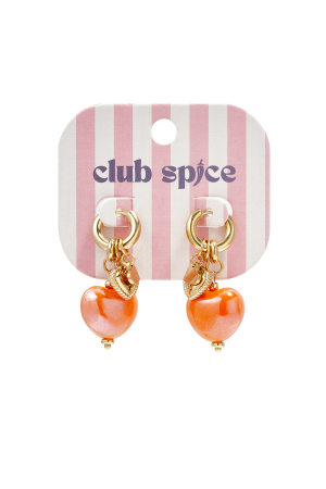 Boucles D'Oreilles Avec Pendentifs En Forme De Cœur h5 Image3