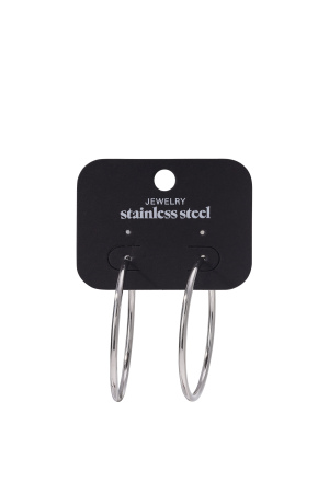 Boucles D'oreilles En Acier Inoxydable Créoles Grand h5 Image3