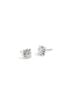 couleur argent Image2