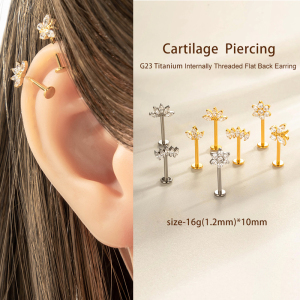 Boucle D'Oreille Piercing En Alliage De Titane Et Zircon Couleur Or, 1 Pièce h5 Image4