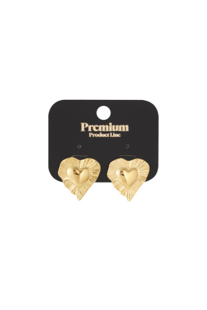 Boucles D'Oreilles Coeur Rayonnant h5 Image3