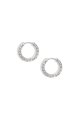 couleur argent Image2