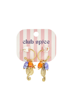 Boucles D'Oreilles Hippocampe Avec Breloques h5 Image5