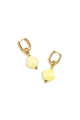 Jaune Image2