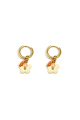 Orange Image2