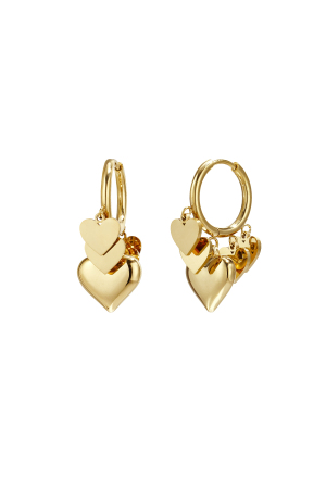 Boucles D'Oreilles Avec Des Pendentifs En Forme De Cœur De Différentes Tailles h5 