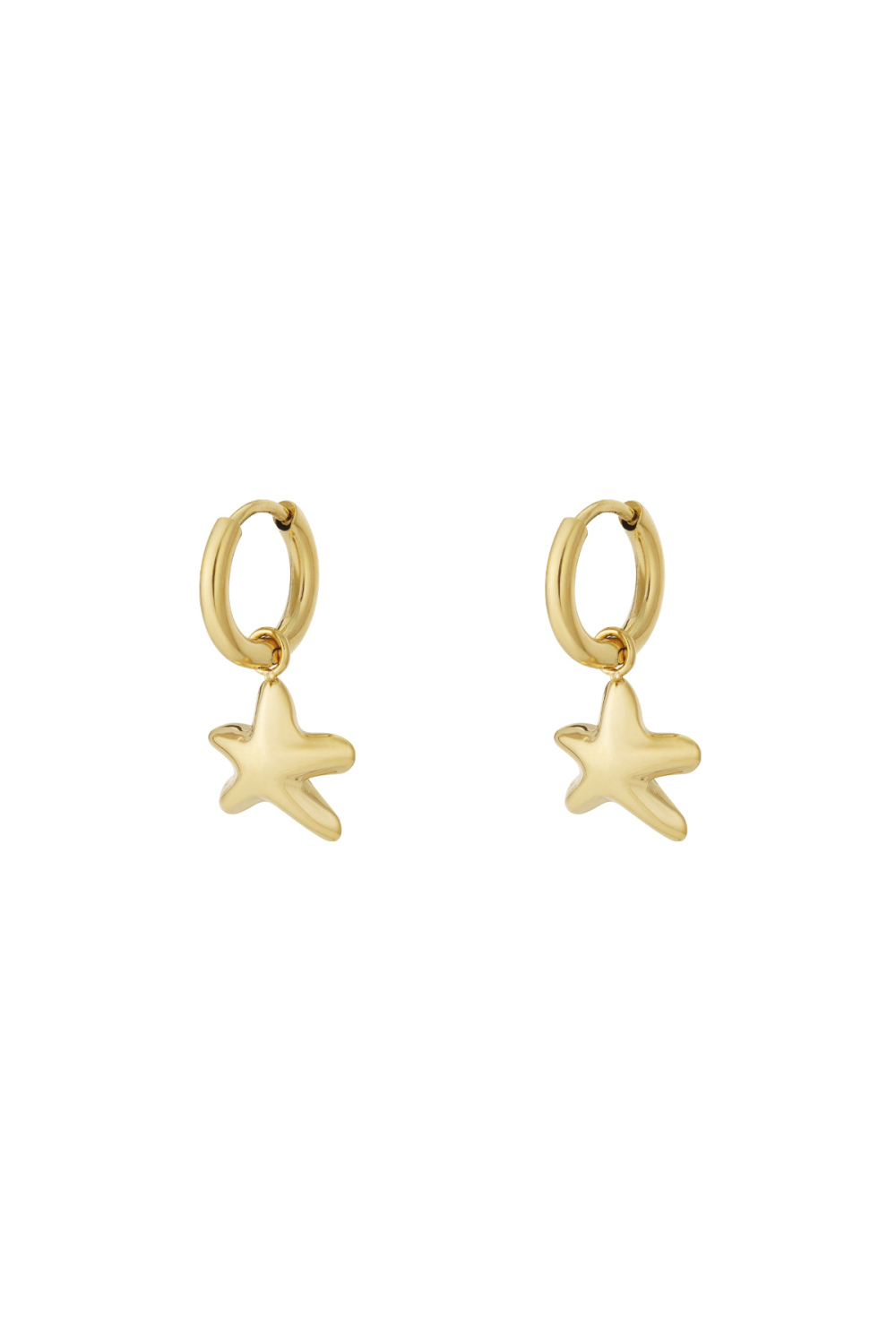 Boucles D'Oreilles Mini Starr 