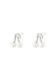 couleur argent Image2