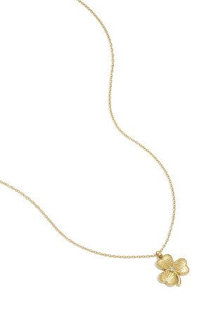 Collier Porte-Bonheur h5 