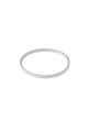 couleur argent Image2