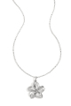 couleur argent Image2